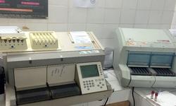 lab